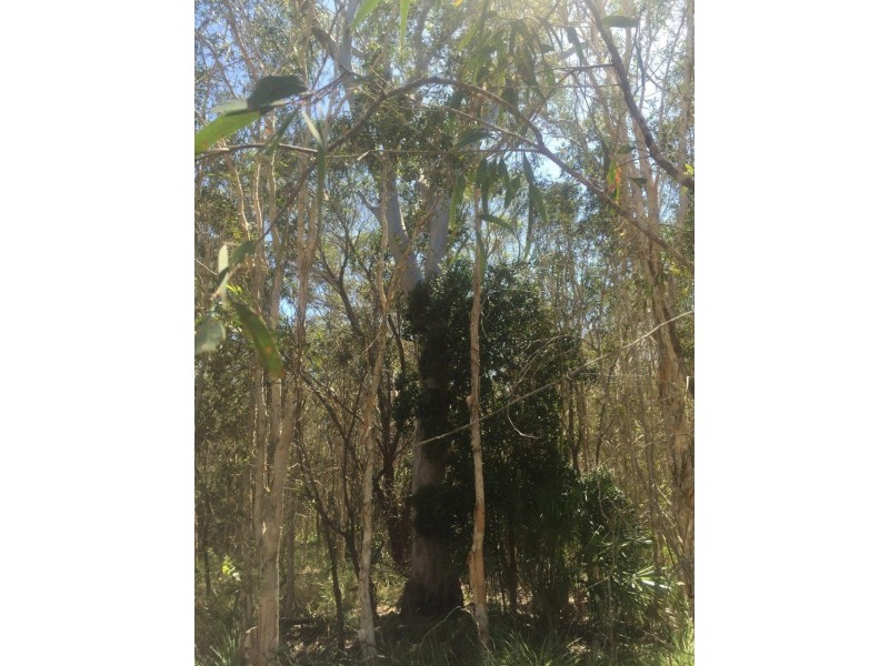 Agnes Water QLD 4677