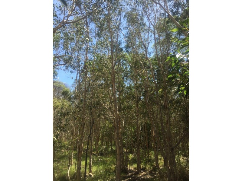 Agnes Water QLD 4677