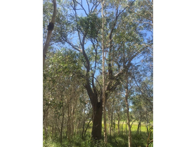 Agnes Water QLD 4677