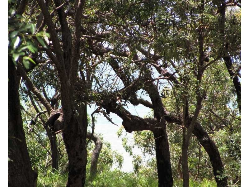lot 83/552 Bloodwood Avenue Sunrise, Agnes Water QLD 4677