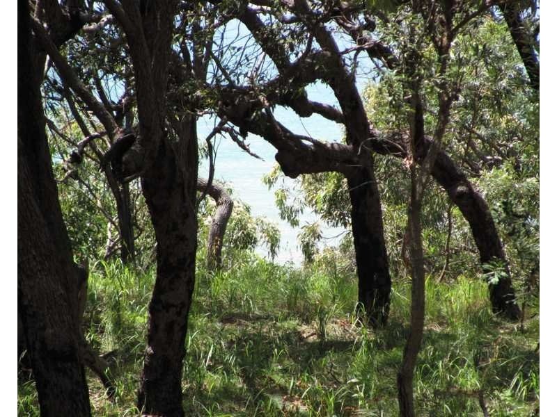 lot 83/552 Bloodwood Avenue Sunrise, Agnes Water QLD 4677