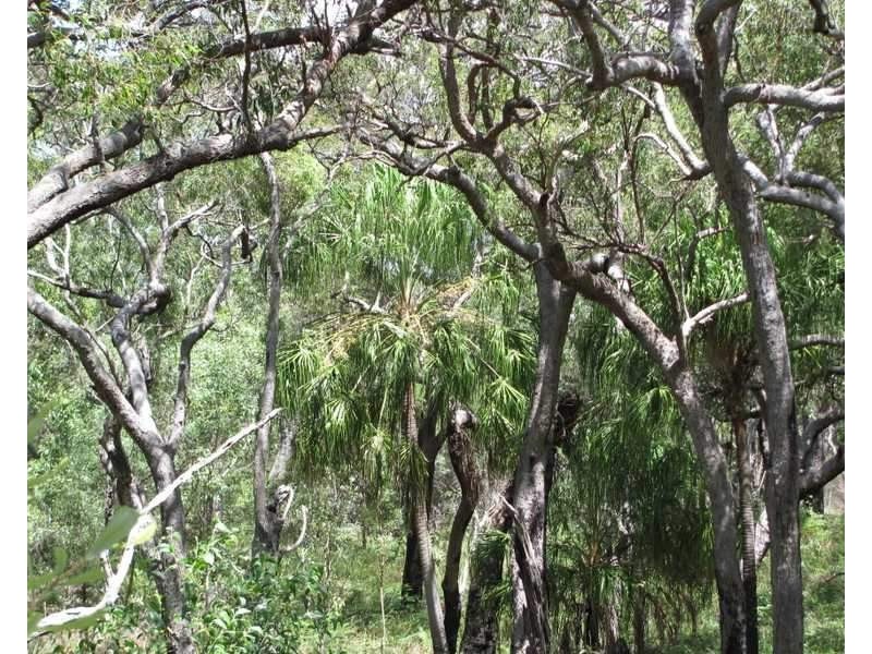 lot 83/552 Bloodwood Avenue Sunrise, Agnes Water QLD 4677