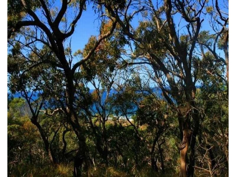 lot 83/552 Bloodwood Avenue Sunrise, Agnes Water QLD 4677