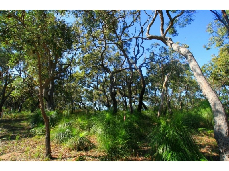 147 Bloodwood South, Agnes Water QLD 4677