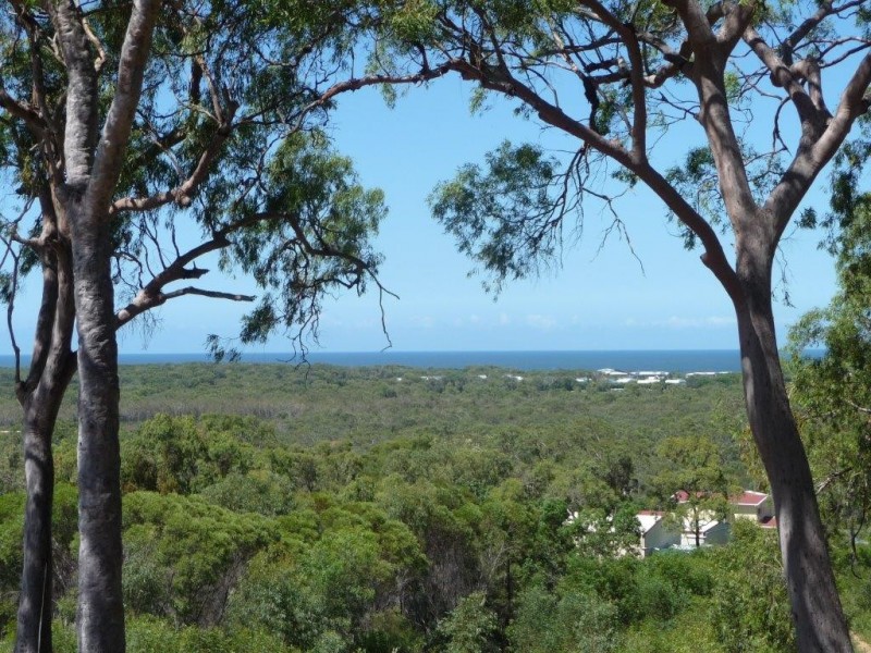 Lot 81 Wistari Terrace, Agnes Water QLD 4677