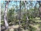 Lot 81 Wistari Terrace, Agnes Water QLD 4677