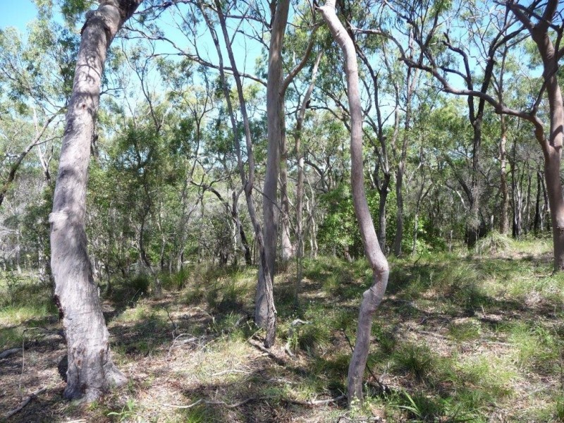 Lot 81 Wistari Terrace, Agnes Water QLD 4677