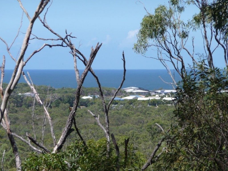 Lot 81 Wistari Terrace, Agnes Water QLD 4677