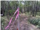 Lot 81 Wistari Terrace, Agnes Water QLD 4677