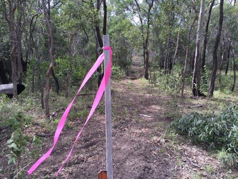 Lot 81 Wistari Terrace, Agnes Water QLD 4677