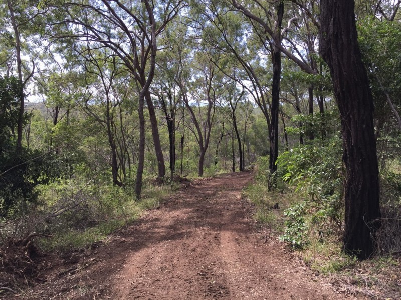 Lot 81 Wistari Terrace, Agnes Water QLD 4677