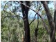Lot 81 Wistari Terrace, Agnes Water QLD 4677