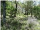 Lot 81 Wistari Terrace, Agnes Water QLD 4677