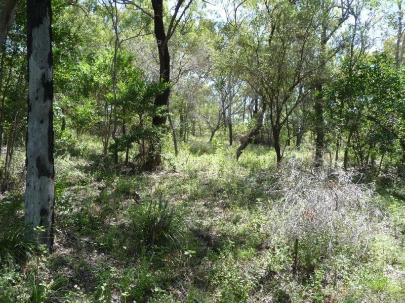 Lot 81 Wistari Terrace, Agnes Water QLD 4677
