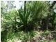 Lot 81 Wistari Terrace, Agnes Water QLD 4677