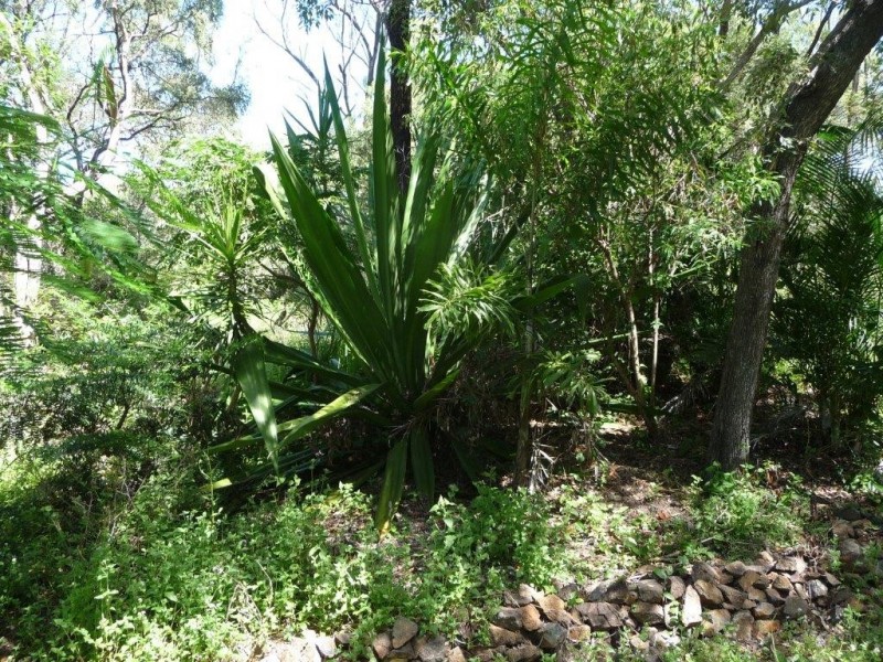 Lot 81 Wistari Terrace, Agnes Water QLD 4677