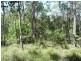 Lot 81 Wistari Terrace, Agnes Water QLD 4677