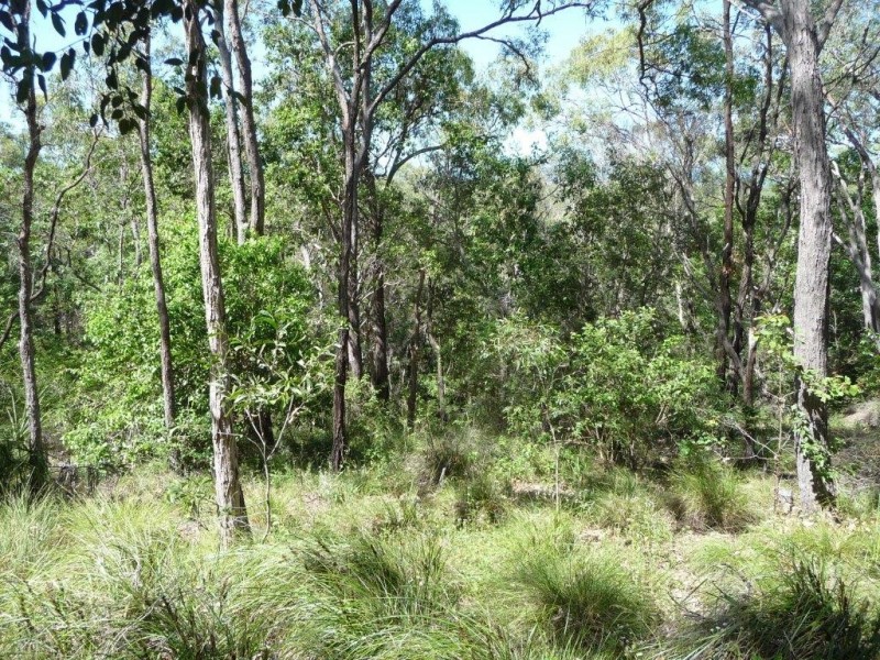 Lot 81 Wistari Terrace, Agnes Water QLD 4677