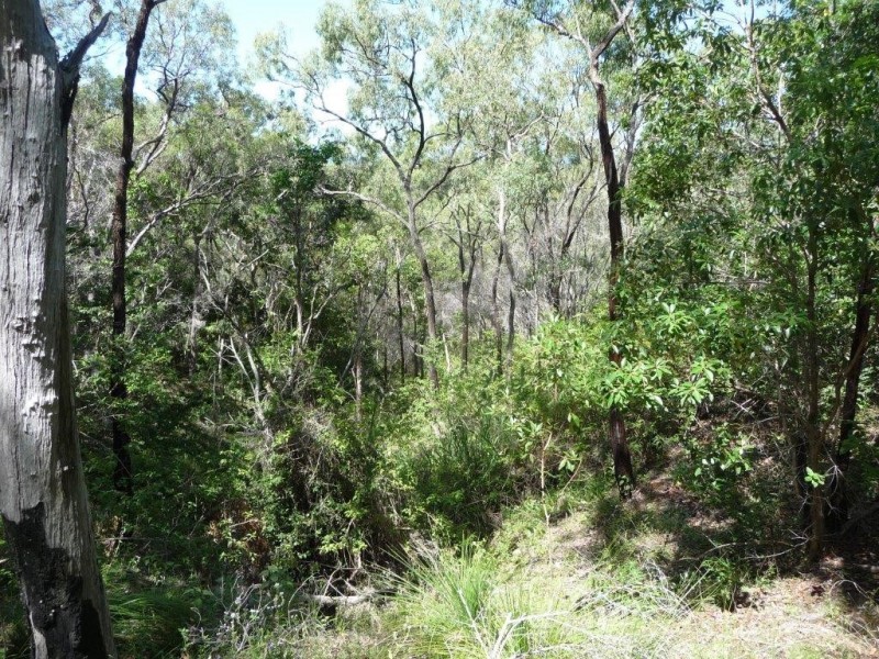 Lot 81 Wistari Terrace, Agnes Water QLD 4677