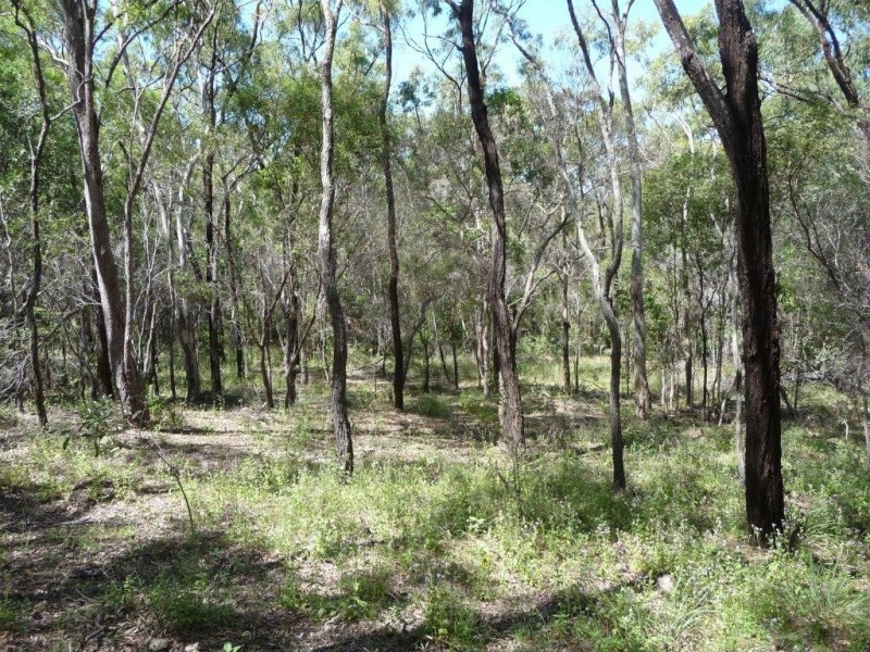 Lot 81 Wistari Terrace, Agnes Water QLD 4677