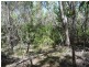 Lot 81 Wistari Terrace, Agnes Water QLD 4677