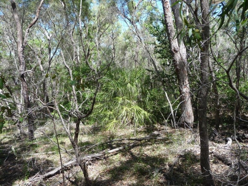Lot 81 Wistari Terrace, Agnes Water QLD 4677