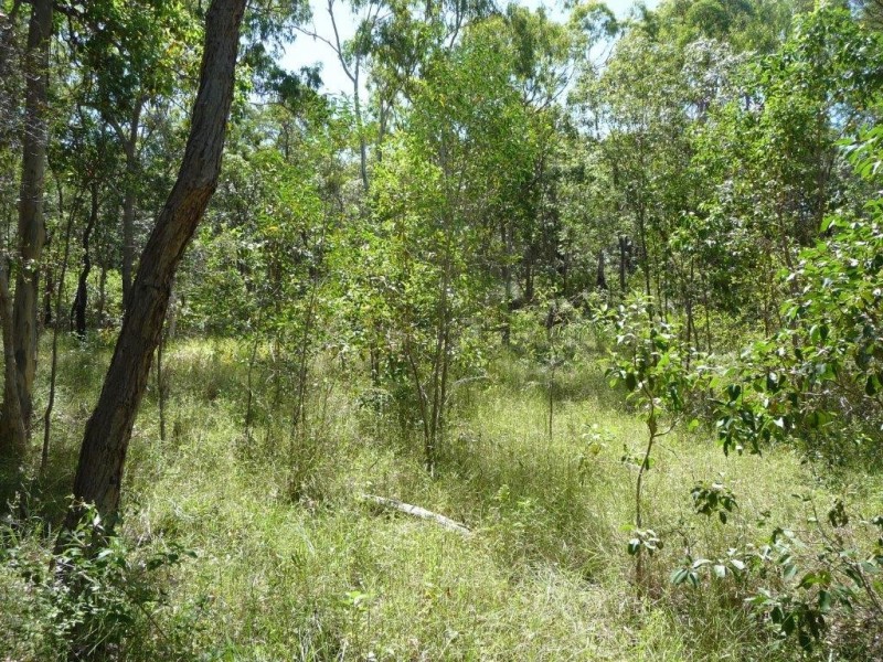 Lot 81 Wistari Terrace, Agnes Water QLD 4677