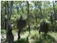 Lot 81 Wistari Terrace, Agnes Water QLD 4677