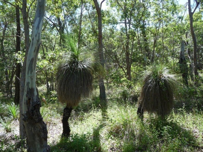 Lot 81 Wistari Terrace, Agnes Water QLD 4677
