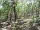 Lot 81 Wistari Terrace, Agnes Water QLD 4677