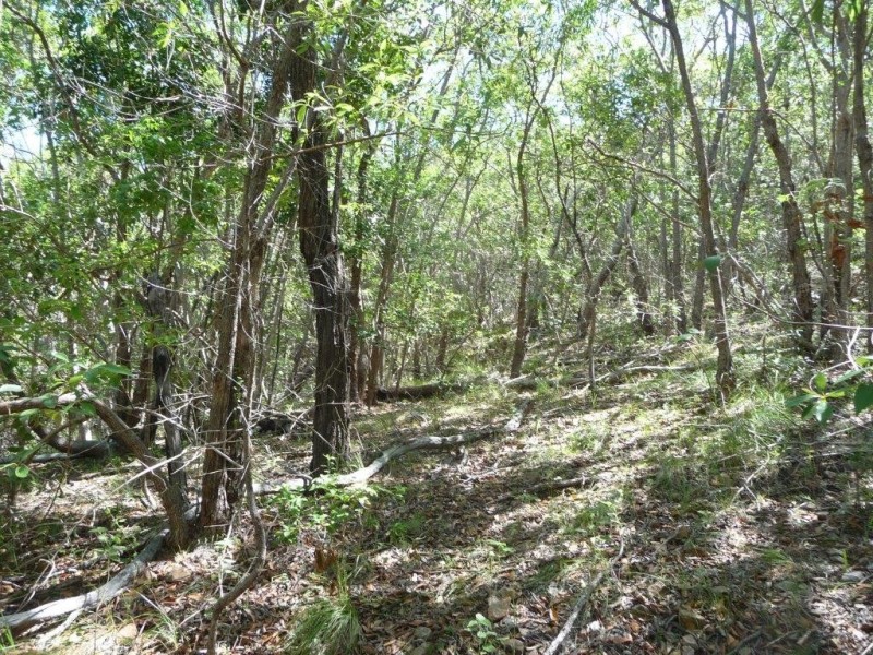 Lot 81 Wistari Terrace, Agnes Water QLD 4677