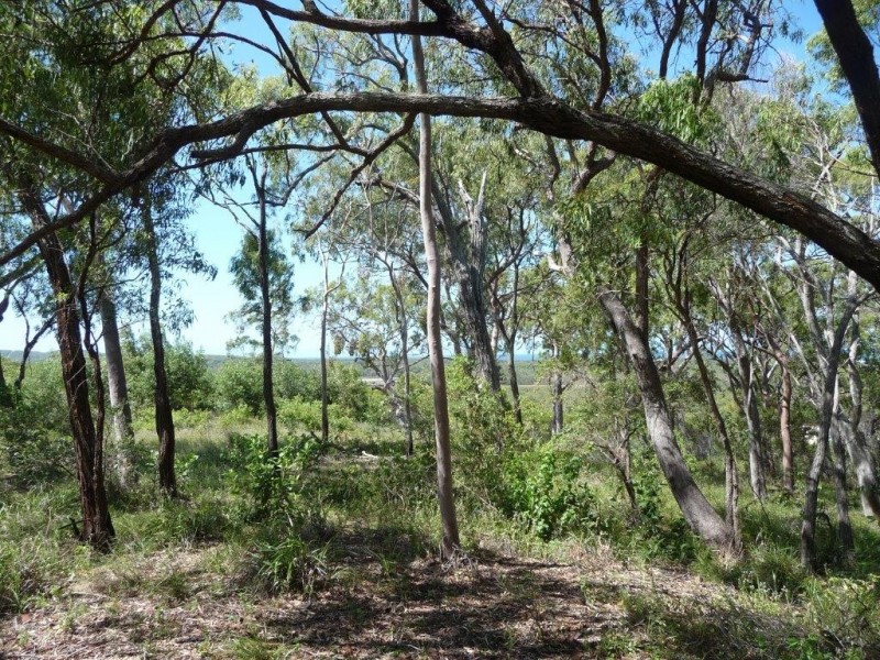 Lot 81 Wistari Terrace, Agnes Water QLD 4677