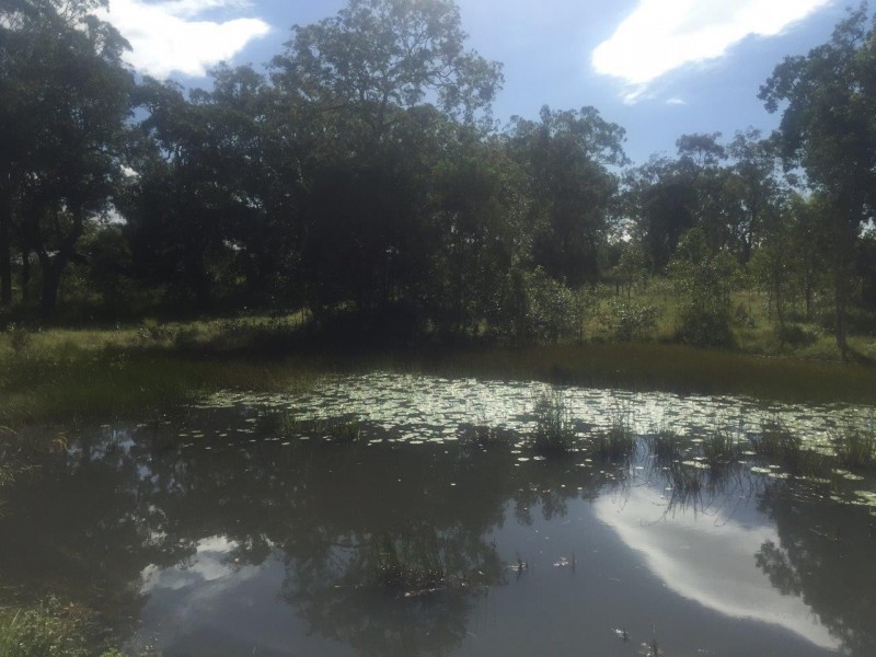 Captain Creek QLD 4677