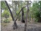 226 Rafting Ground Rd, Agnes Water QLD 4677