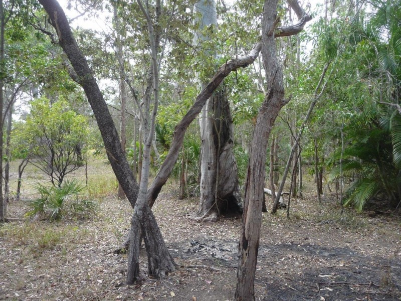 226 Rafting Ground Rd, Agnes Water QLD 4677