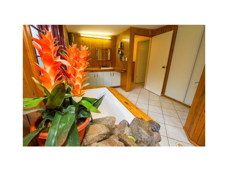 148 Dillon Road, Captain Creek QLD 4677