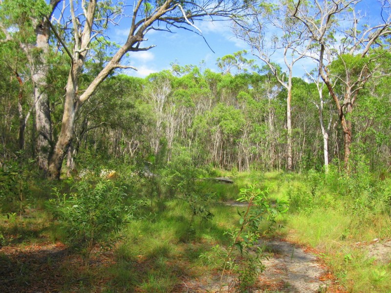 3 Round Hill Road, Round Hill QLD 4677