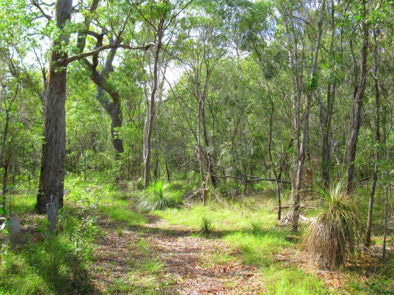 3 Round Hill Road, Round Hill QLD 4677