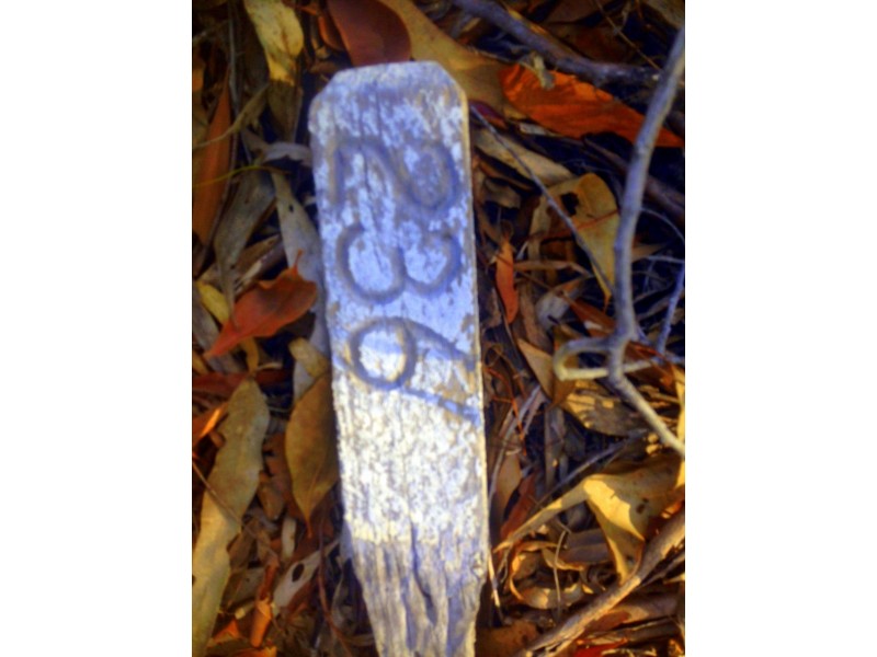 236 Innamincka Way, Agnes Water QLD 4677