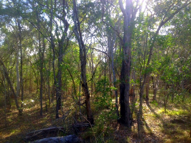 236 Innamincka Way, Agnes Water QLD 4677