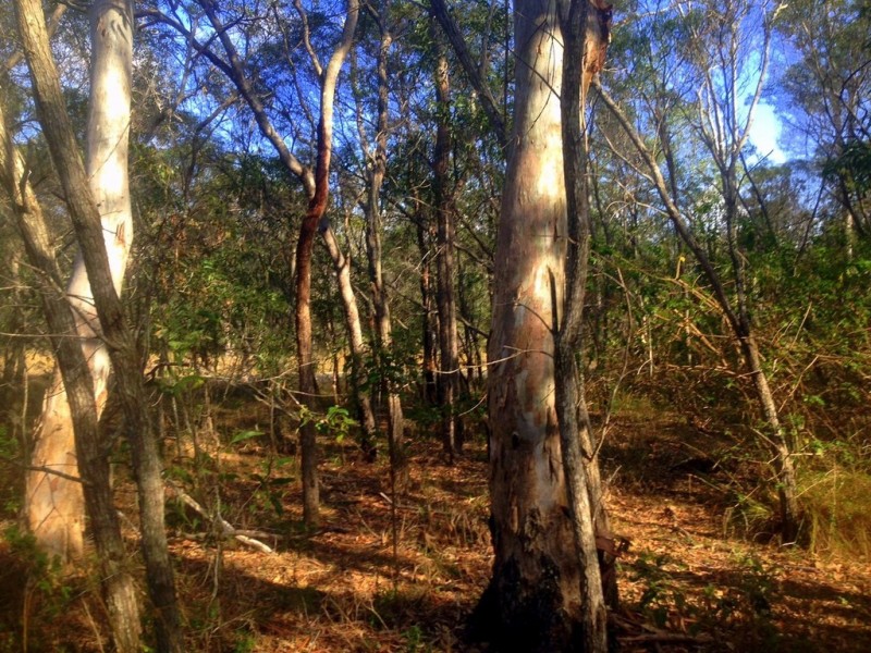 236 Innamincka Way, Agnes Water QLD 4677