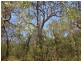 122 Bills Road, Agnes Water QLD 4677