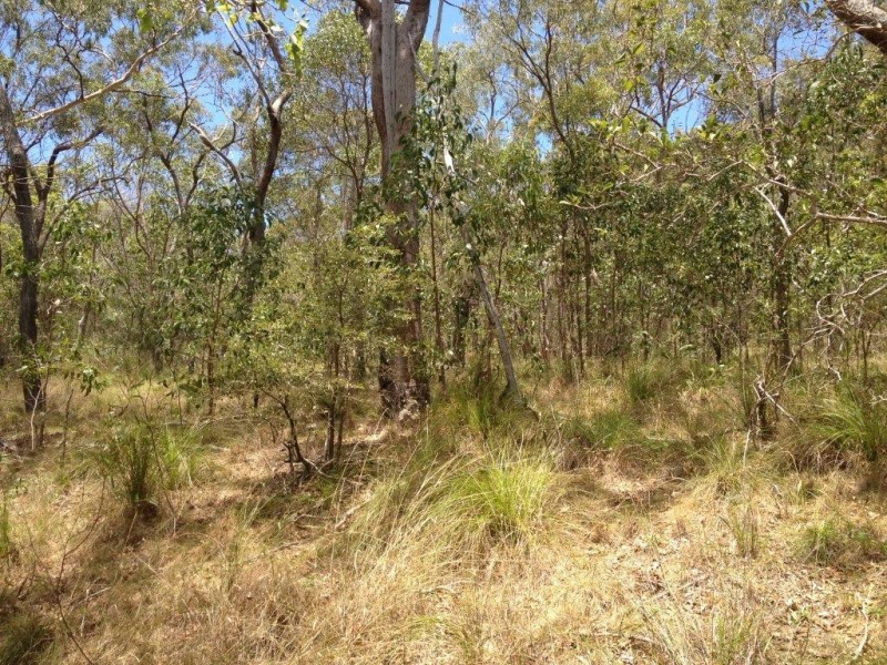 122 Bills Road, Agnes Water QLD 4677