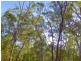 Lot 3 Kate Avenue, Deepwater QLD 4674