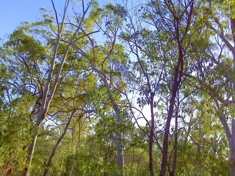 Lot 3 Kate Avenue, Deepwater QLD 4674