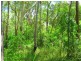 Lot 3 Kate Avenue, Deepwater QLD 4674