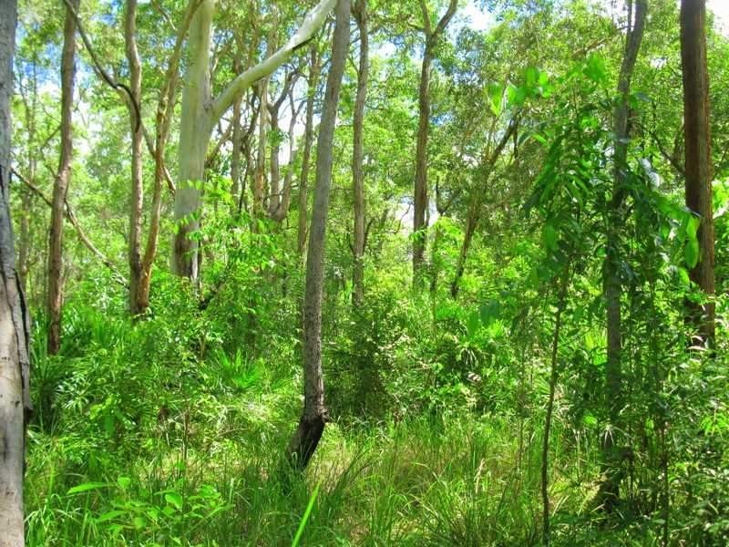 Lot 3 Kate Avenue, Deepwater QLD 4674