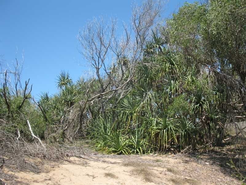 Lot 3 Kate Avenue, Deepwater QLD 4674