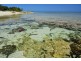 Unit 26/2 Beaches Village Circuit, Agnes Water QLD 4677