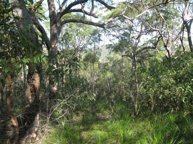 Lot 428 Anderson Way, Agnes Water QLD 4677